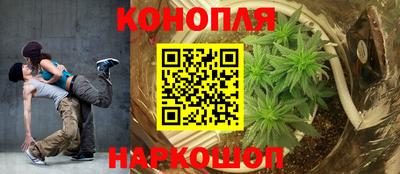 альфа пвп Кингисепп