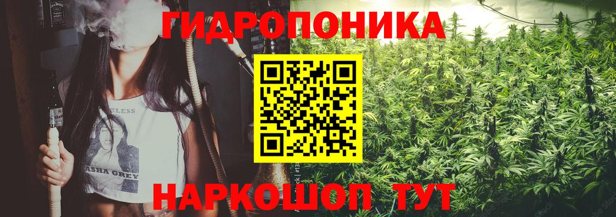 Бошки Шишки MAZAR Куйбышев